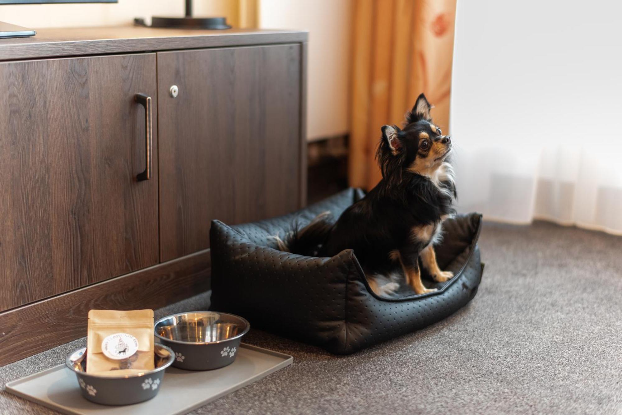Familienapartment Am Neumarkt Lll เดรสเดน ภายนอก รูปภาพ